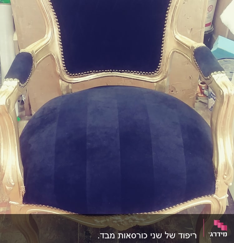 כיסא מרופד בבד קטיפה שחור עם מסגרת זהב מעוטרת